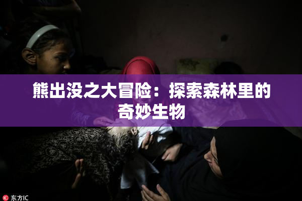 熊出没之大冒险：探索森林里的奇妙生物