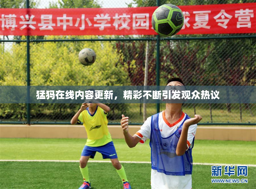 猛犸在线内容更新，精彩不断引发观众热议