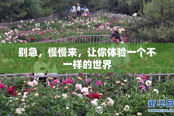 别急，慢慢来，让你体验一个不一样的世界