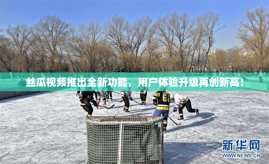 丝瓜视频推出全新功能，用户体验升级再创新高！