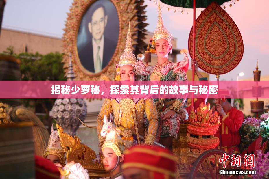 揭秘少萝秘，探索其背后的故事与秘密