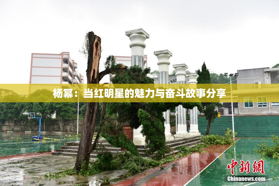 杨幂：当红明星的魅力与奋斗故事分享