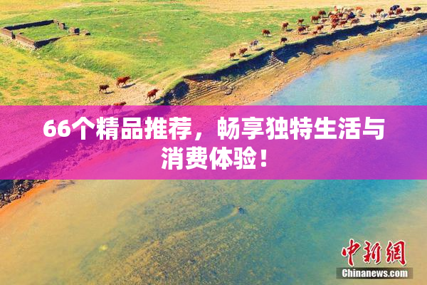 66个精品推荐，畅享独特生活与消费体验！