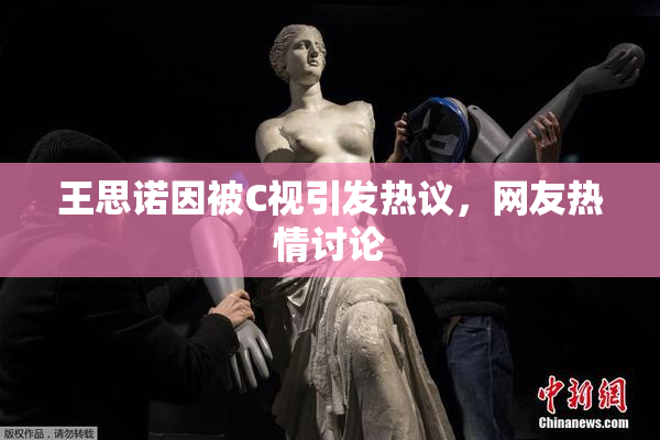 王思诺因被C视引发热议，网友热情讨论