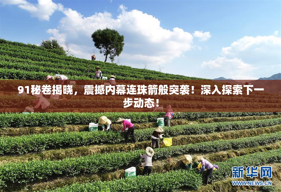 91秘卷揭晓，震撼内幕连珠箭般突袭！深入探索下一步动态！