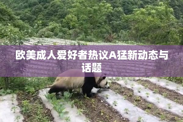 欧美成人爱好者热议A猛新动态与话题