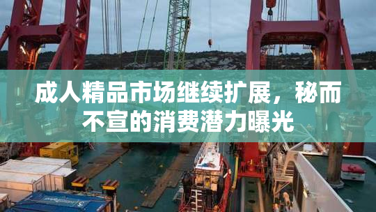 成人精品市场继续扩展，秘而不宣的消费潜力曝光