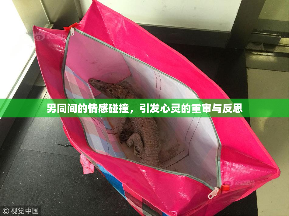 男同间的情感碰撞，引发心灵的重审与反思