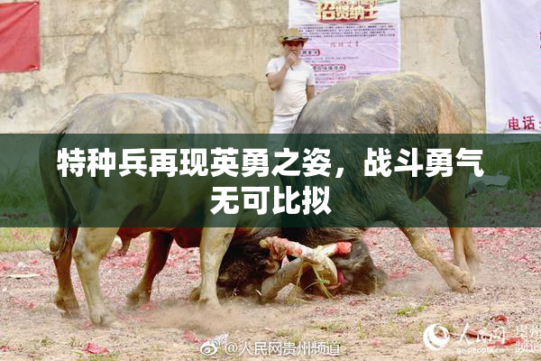 特种兵再现英勇之姿，战斗勇气无可比拟