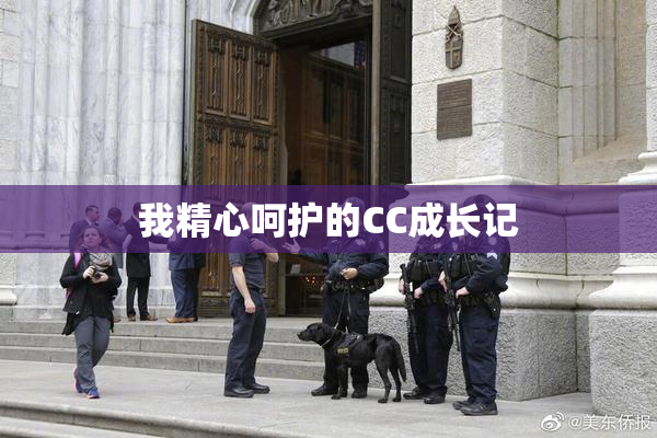 我精心呵护的CC成长记
