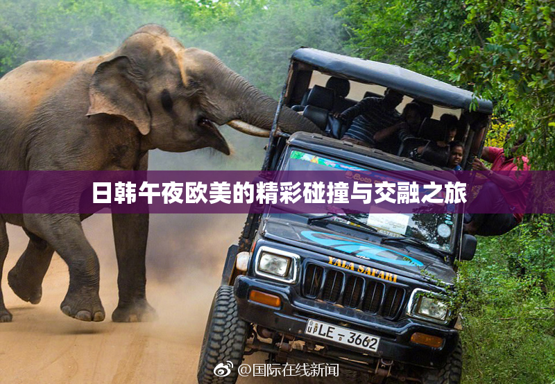 日韩午夜欧美的精彩碰撞与交融之旅