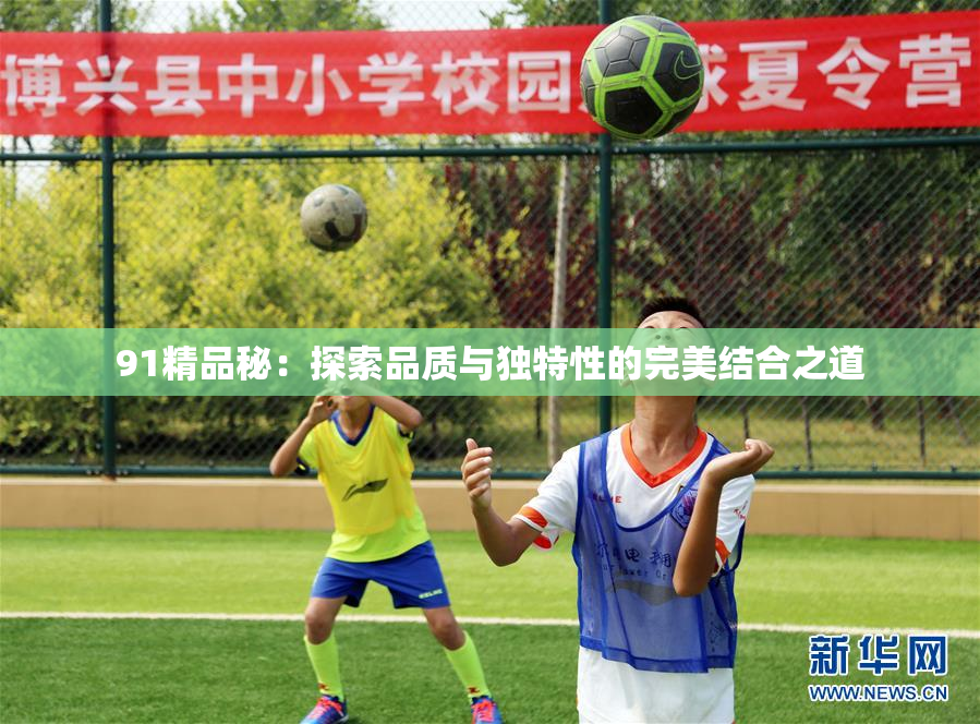 91精品秘：探索品质与独特性的完美结合之道