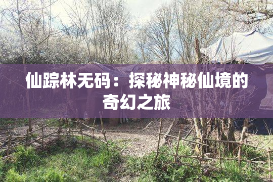 仙踪林无码：探秘神秘仙境的奇幻之旅