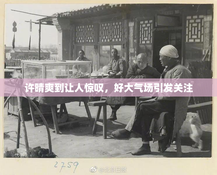许晴爽到让人惊叹，好大气场引发关注