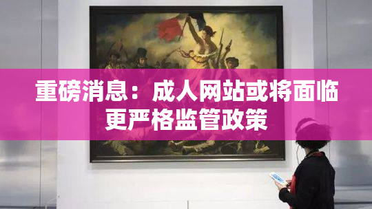 重磅消息：成人网站或将面临更严格监管政策