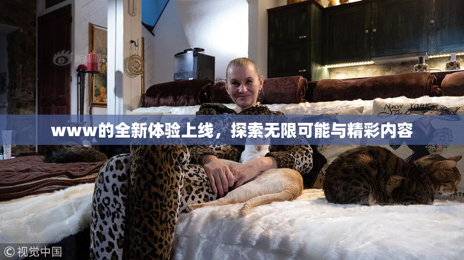 www的全新体验上线，探索无限可能与精彩内容