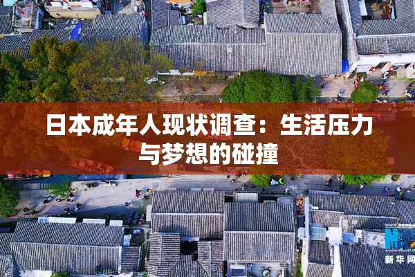 日本成年人现状调查：生活压力与梦想的碰撞