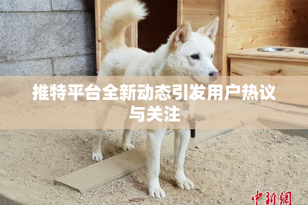 推特平台全新动态引发用户热议与关注