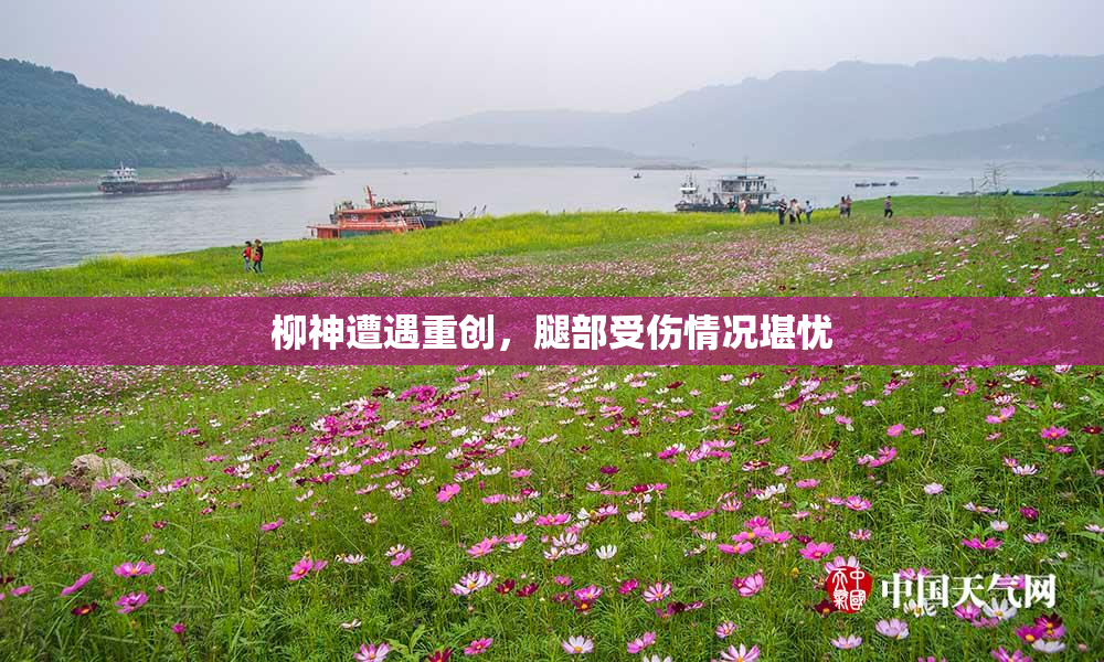 柳神遭遇重创，腿部受伤情况堪忧