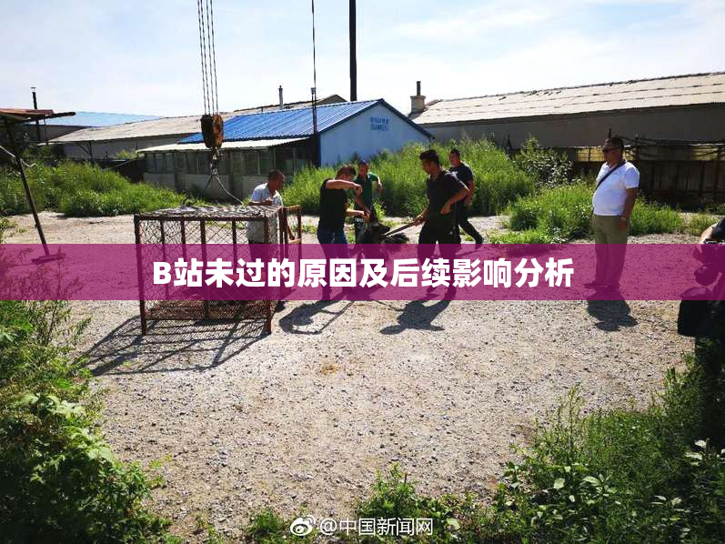 B站未过的原因及后续影响分析