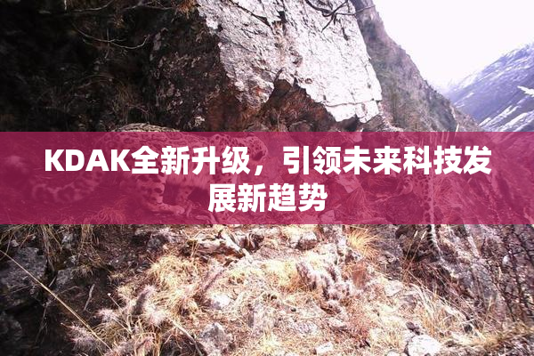 KDAK全新升级，引领未来科技发展新趋势