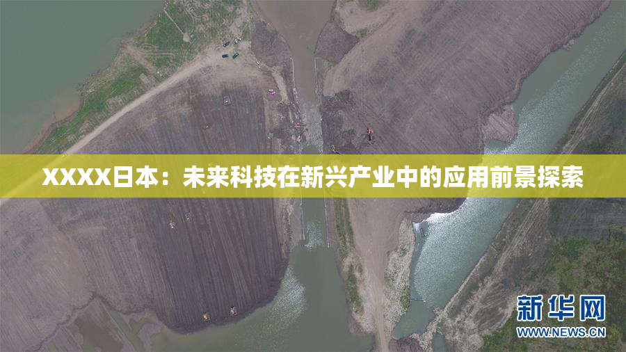 XXXX日本：未来科技在新兴产业中的应用前景探索