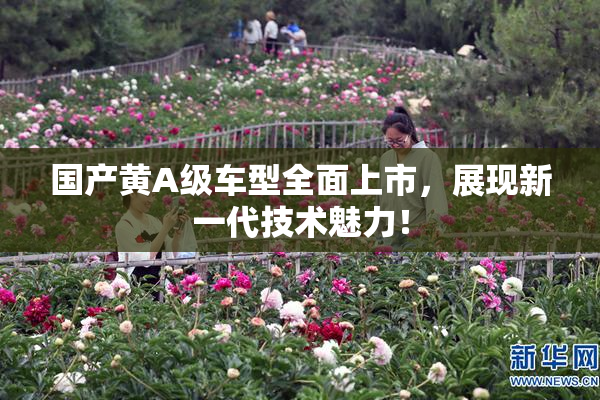 国产黄A级车型全面上市，展现新一代技术魅力！