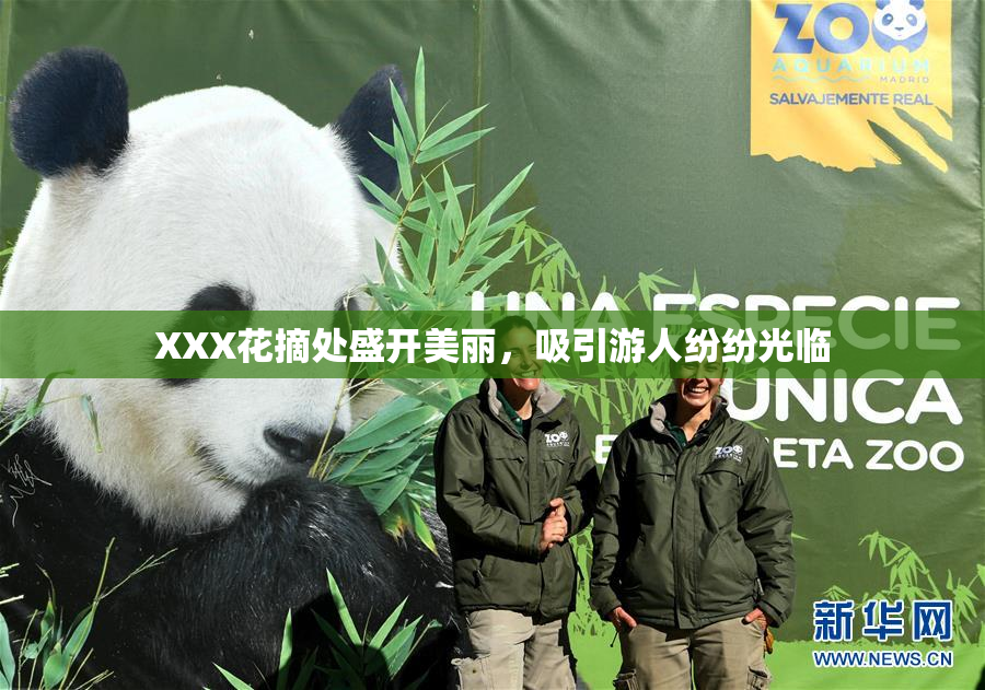 XXX花摘处盛开美丽，吸引游人纷纷光临