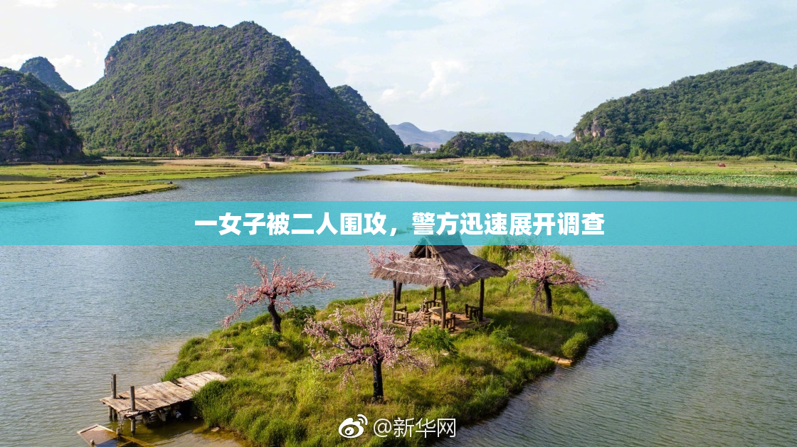 一女子被二人围攻，警方迅速展开调查