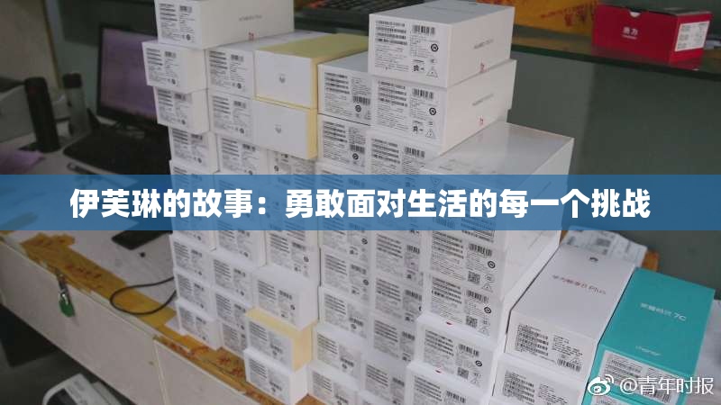 伊芙琳的故事：勇敢面对生活的每一个挑战