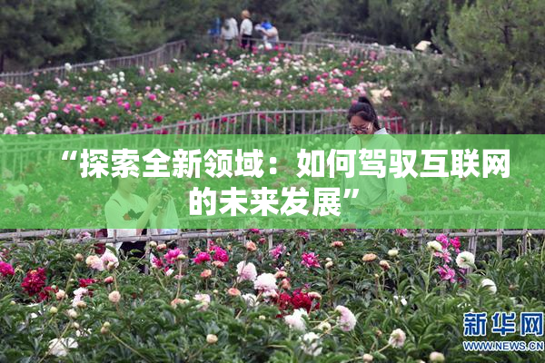 “探索全新领域：如何驾驭互联网的未来发展”