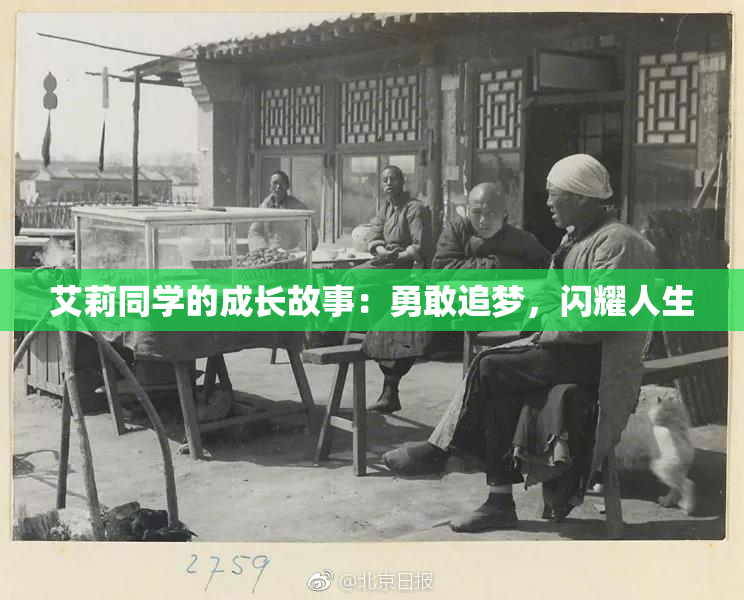 艾莉同学的成长故事：勇敢追梦，闪耀人生