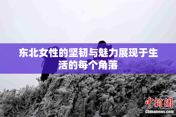 东北女性的坚韧与魅力展现于生活的每个角落
