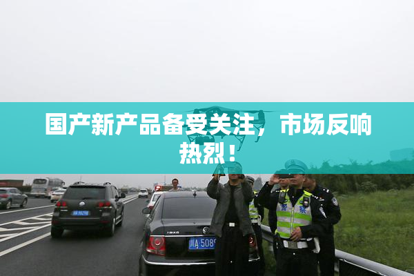 国产新产品备受关注，市场反响热烈！