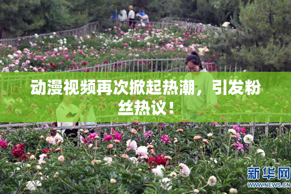 动漫视频再次掀起热潮，引发粉丝热议！