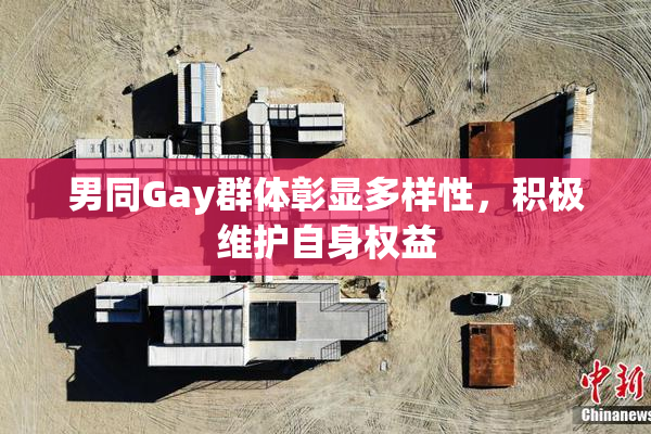 男同Gay群体彰显多样性，积极维护自身权益