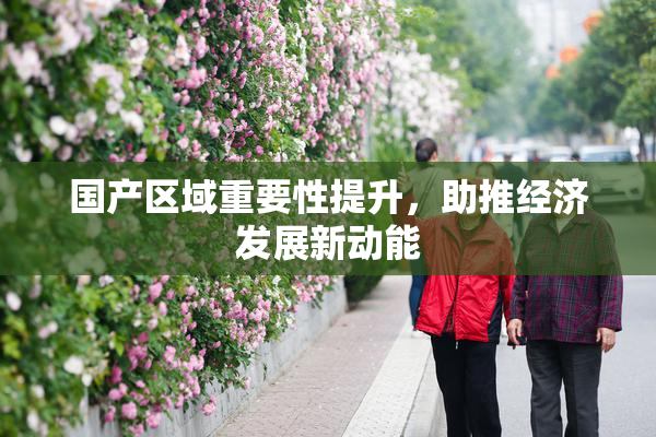国产区域重要性提升，助推经济发展新动能
