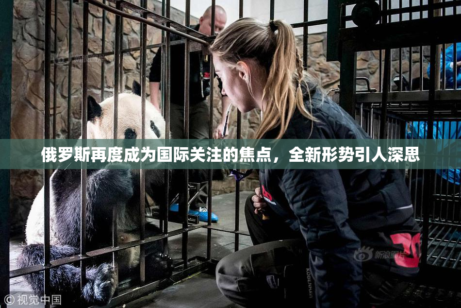 俄罗斯再度成为国际关注的焦点，全新形势引人深思