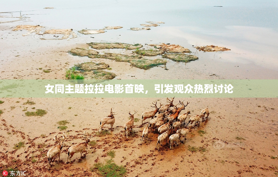 女同主题拉拉电影首映，引发观众热烈讨论