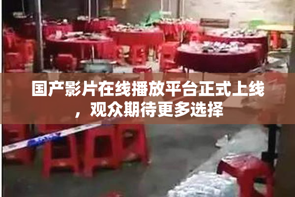 国产影片在线播放平台正式上线，观众期待更多选择