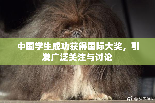 中国学生成功获得国际大奖，引发广泛关注与讨论