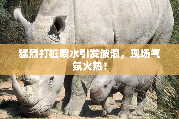 猛烈打桩喷水引发波浪，现场气氛火热！