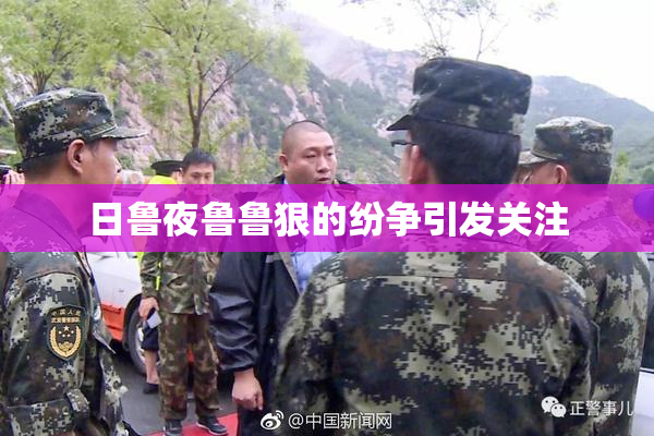 日鲁夜鲁鲁狠的纷争引发关注