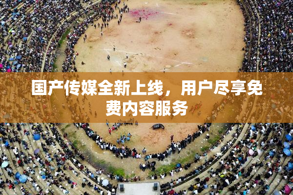 国产传媒全新上线，用户尽享免费内容服务