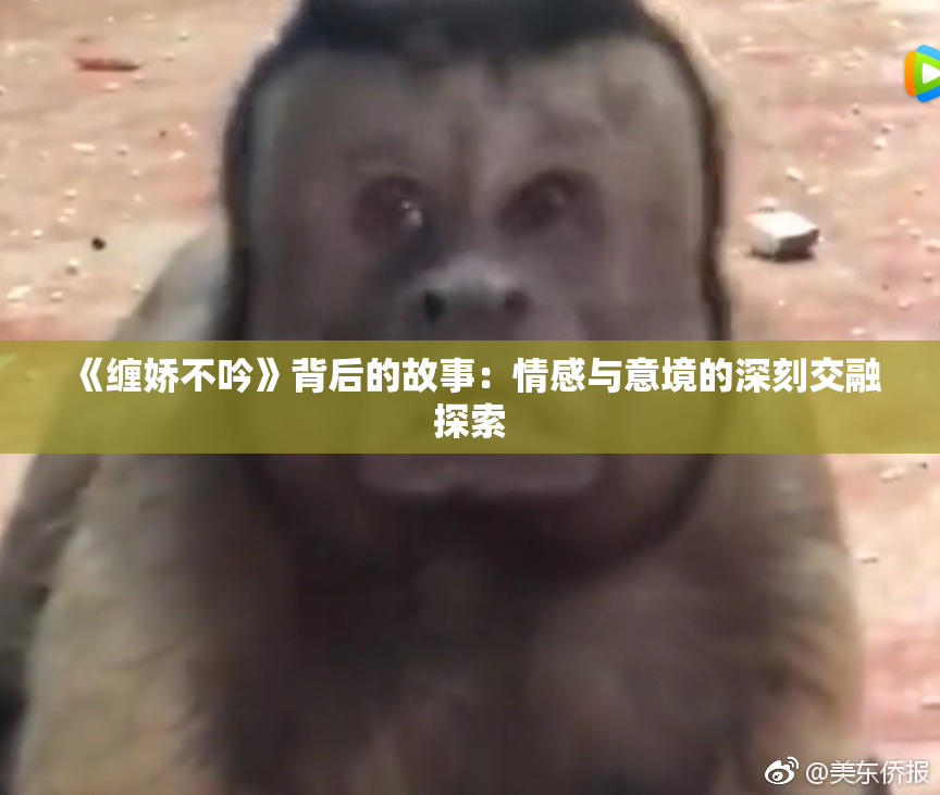 《缠娇不吟》背后的故事：情感与意境的深刻交融探索