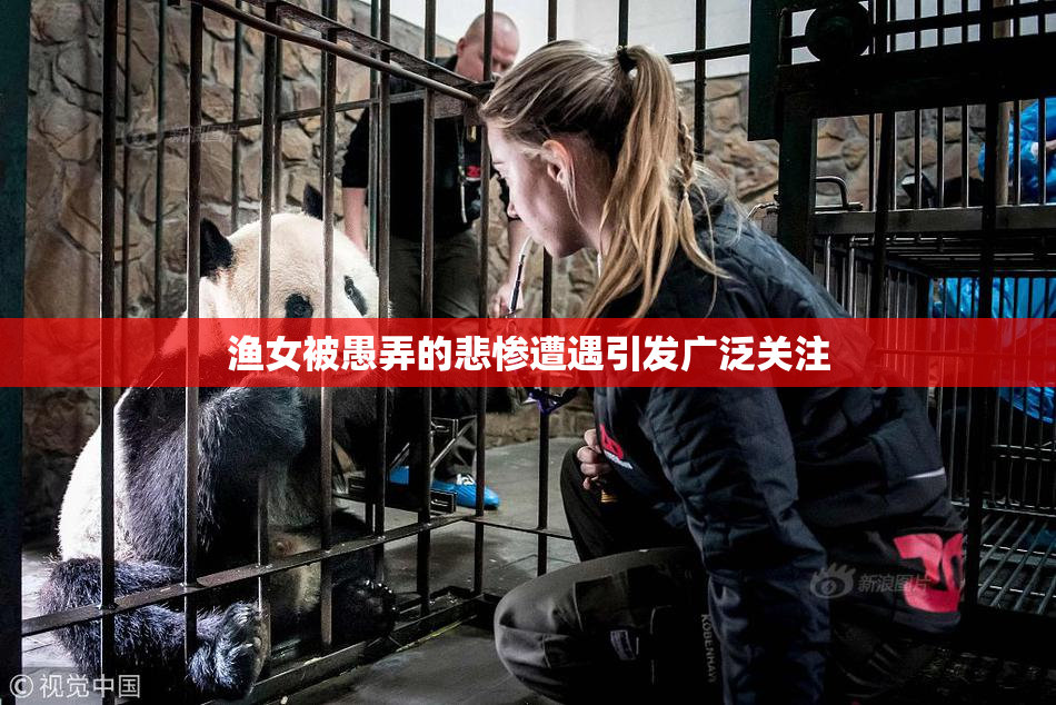 渔女被愚弄的悲惨遭遇引发广泛关注