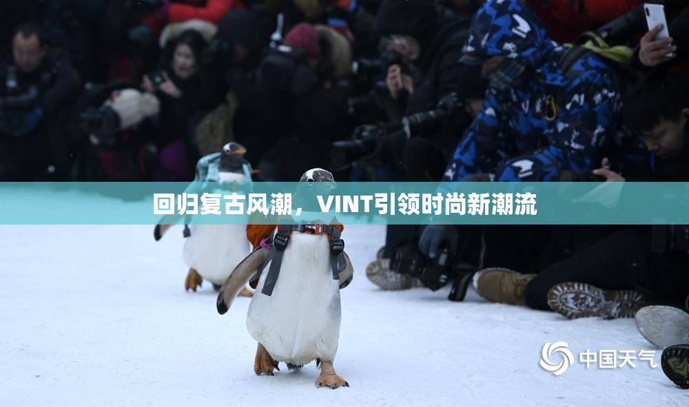 回归复古风潮，VINT引领时尚新潮流