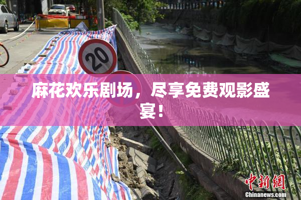 麻花欢乐剧场，尽享免费观影盛宴！