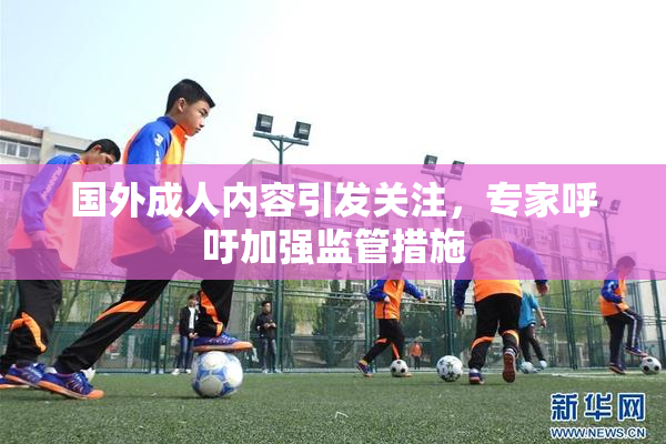 国外成人内容引发关注，专家呼吁加强监管措施