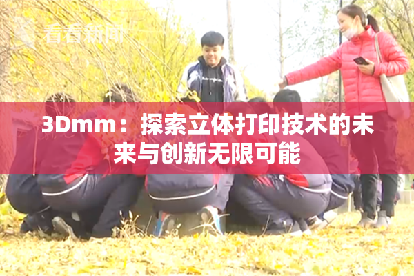 3Dmm：探索立体打印技术的未来与创新无限可能